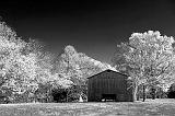 Autumn Tobacco Barn_24798 (pIR)